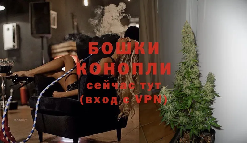 как найти закладки  Жуковский  даркнет формула  Канабис THC 21% 